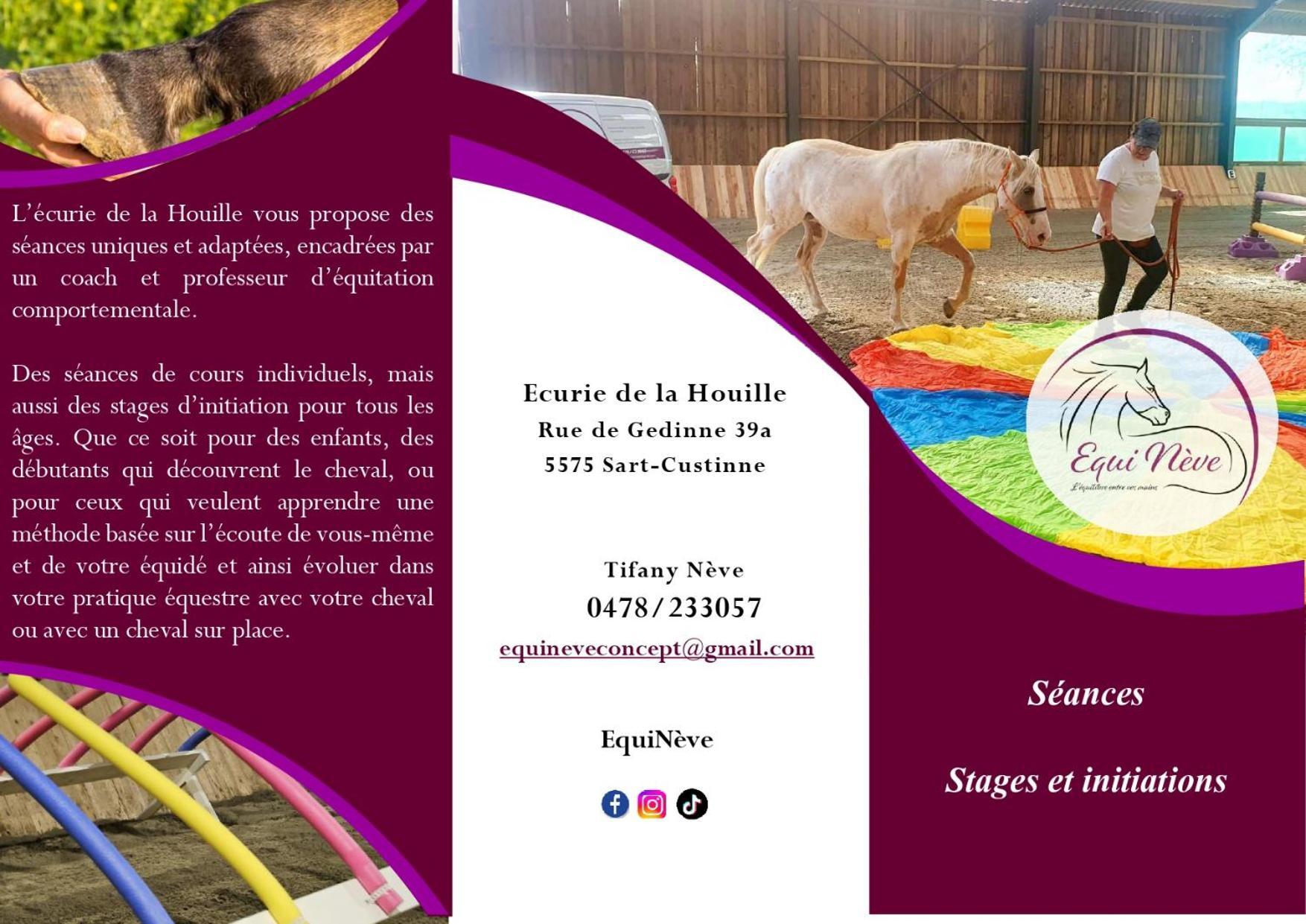 Le Relais De La Houille Holiday home Sart-Custinne